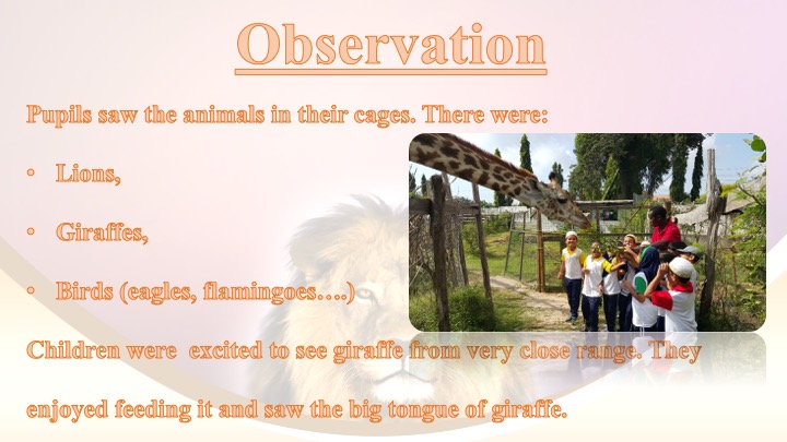 Zoo Slide2
