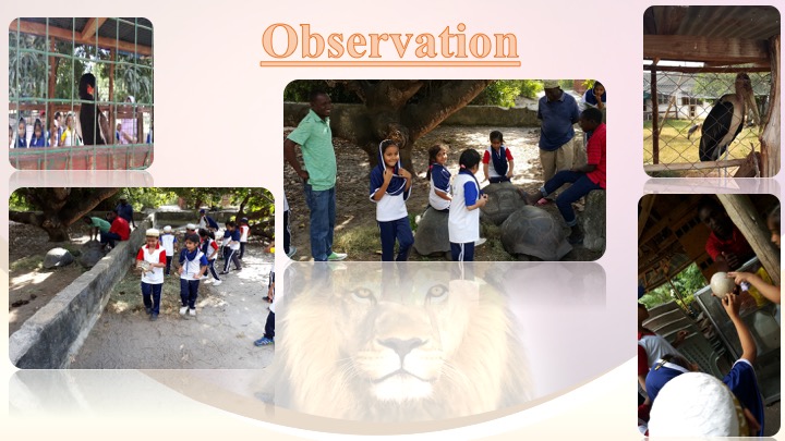 Zoo Slide3